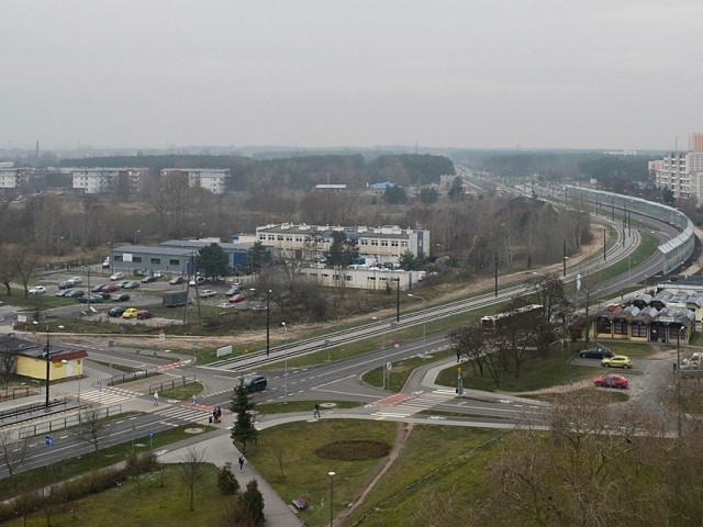 c2bd0406001ba9c95655e008.jpg