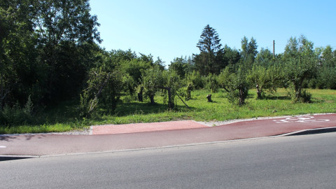 Wąbrzeźno.-Odbiór-techniczny-inwestycji-pn.-Przebudowa-ulic-Wspólnej-Pięknej-i-Kwiatowej-13.08.2020-r.-6.jpg